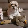 Wilma Barker - @wilma.barker - TikTok