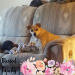 Wilma Barton - @wilma.barton.71 - Instagram