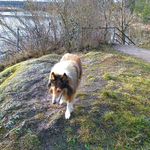 Wilma Bauer - @wilma.bauer.71 - Instagram