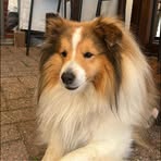 Wilma Bauer - Facebook