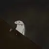 Châu Thúy Sang - @wilma.baxter6 - TikTok