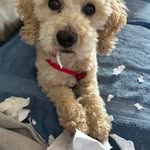 Wilma Baxter - @wilmabaxter42 - Instagram