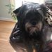 Wilma Beam - Facebook