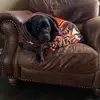 Wilma is woman - @wilmabebee - TikTok