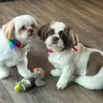 Wilma Bickers - @wbickers7 - Instagram