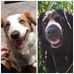 Wilma Bickert - Facebook