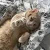 wilmabaddie - @wilmabaddie - TikTok