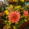 Wilma Brewer - @wilma.brewer - TikTok