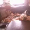 Wilma Brewer - @wilma.brewer5 - TikTok