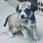 Wilma Cainamari - @wilmacainamari - Instagram
