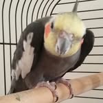 Wilma Carr - @wilma.carr.31 - Instagram