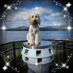 Wilma Carroll - @wilma.carroll1 - Instagram