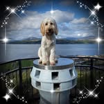 Wilma Carroll - @wilmacarroll23 - Instagram