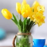 Wilma Carroll - @wilmacarroll45 - Instagram