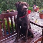 Wilma - @wilma.carroll192 - Instagram