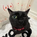 Wilma Castle-Rudman - @williamlicious - Instagram