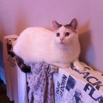 Wilma Collins - @worried_wilma - Instagram