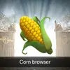 Cornium🌽 - @cornbrowser - TikTok