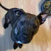 William Cornish - @william.cornish35 - TikTok