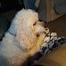 Wilma Cox - Facebook