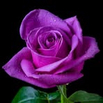 Wilma Croy - Facebook