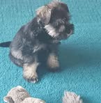 Wilma Devlin - Facebook
