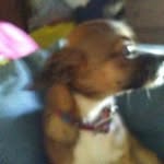 Wilma Dodd - @wilma.dodd.16 - Instagram