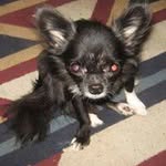 Wilma Dodd - @wilmadodd - Instagram