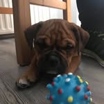 Wilma Drewes - @wilmadrewes - Instagram