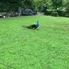 wilmadrew147 - @wilmadrew147 - TikTok