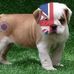 Wilma Edwards - Facebook