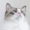 Wilma Graves - @wilma.graves - TikTok