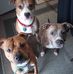 Wilma Hess Roe - Facebook