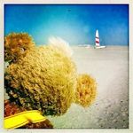 @wilma_hesse - Instagram
