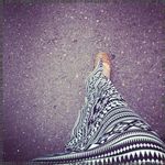 Sydney - @wilmahowebsb - Instagram