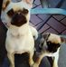 Wilma Howe - Facebook