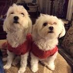 Wilma Bivin-Hunter - @bivinhunter - Instagram