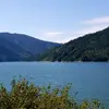 Wilma Hunter Owens - @wilmahunterowens - TikTok