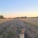 @wilmajohnsson0077 - Instagram