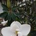 Wilma Joyce - Facebook