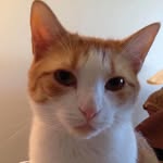 Wilma T Joyce - @wtjoyce2004 - Instagram