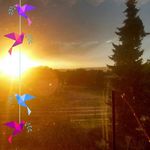 Wilma Keller - @wilma.keller.319 - Instagram