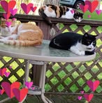 Wilma Keller - Facebook