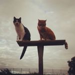 wilma - @wilmakeller1961 - Instagram