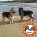 Wilma Knight - @wilma.knight.3 - Instagram