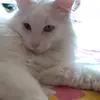 wilmalambdin - @wilmalambdin - TikTok