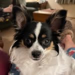 Wilma Elliott Long - @wlong4631 - Instagram
