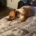 Wilma Long - @necee1957 - Instagram