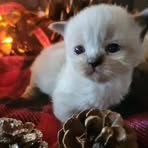 Wilma Long - Facebook