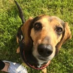 Wilma Long Ears - @wilmalongears - Instagram